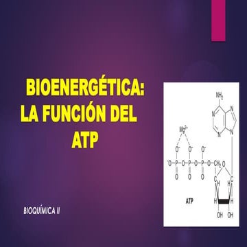 ATP Y ADP YA SUS FUNCIONES bioenergetica | PPTX