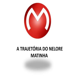 A trajetória do Nelore Matinha
