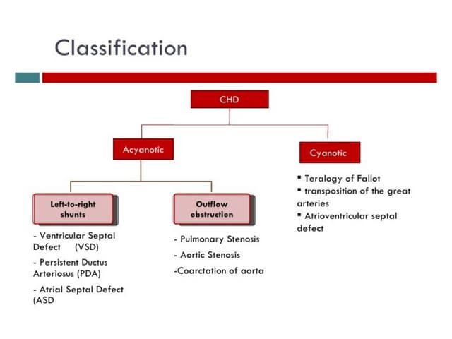 ventricular septal defect | PPTX