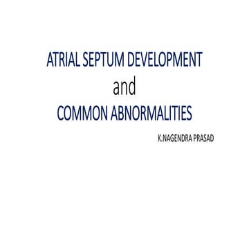 Atrial septaum development and