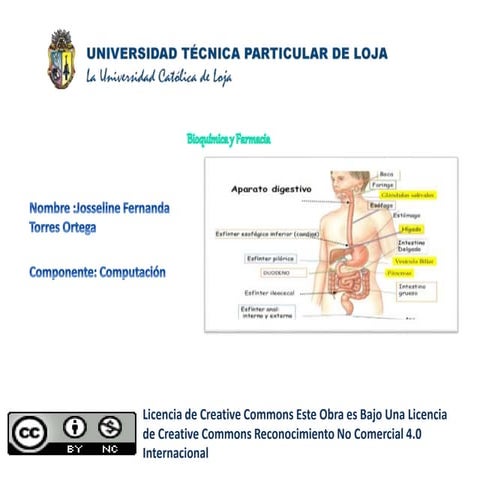 Importancia mapa conceptual | PPTX