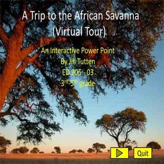 A Trip To The African Savanna