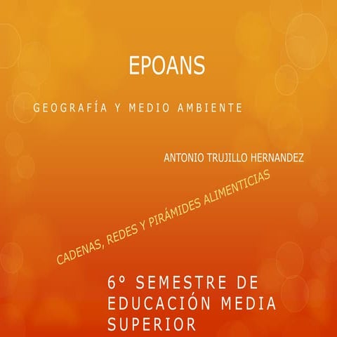 A trujillo m3 s8 cadenas,reses y piramides alimenticias