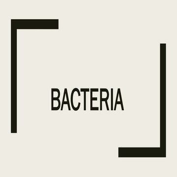 Bacteria | PPTX