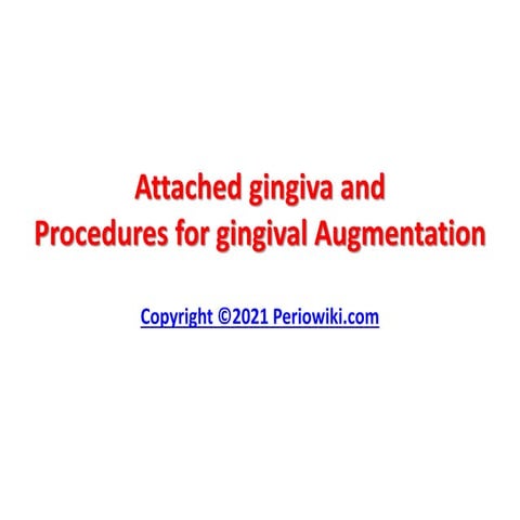 Attached gingiva and procedures for gingival augmentation