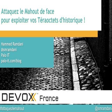 Devoxx France 2014 - Conférence PALO IT "Attaquez le Mahout de face et exploi...