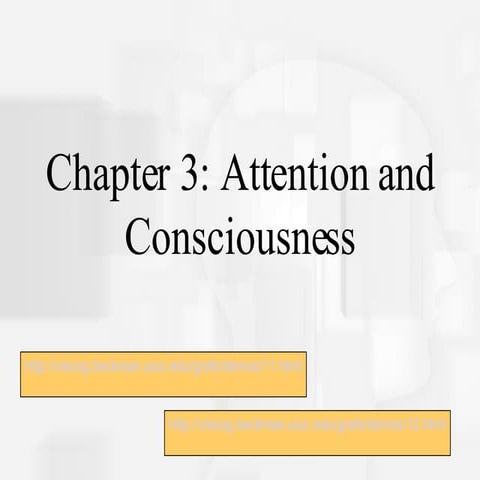 Attention and Consciousness