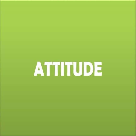 Attitude