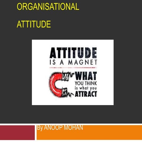 Attitude