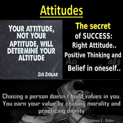 Attitudes - Organisational Behaviour