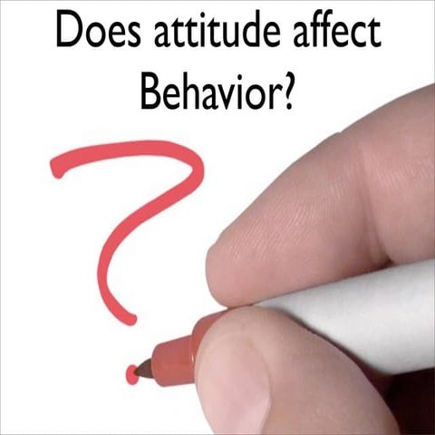 Attitudes & Behavior