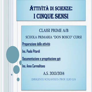 Attivita di scienze: i cinque sensi