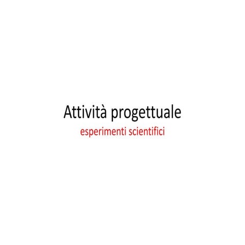 Attività progettuale