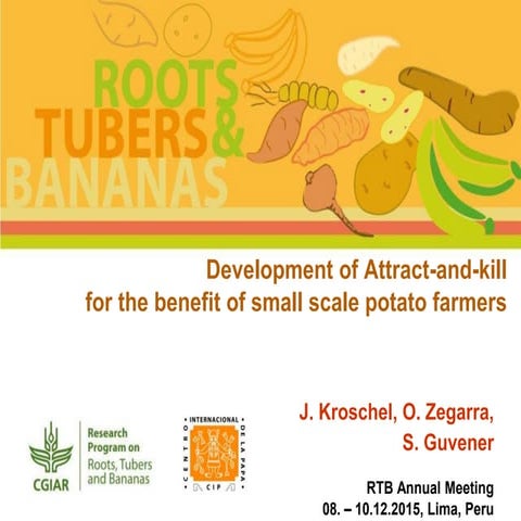 Development of Attract-and-kill for the benefit of small scale potato farmers