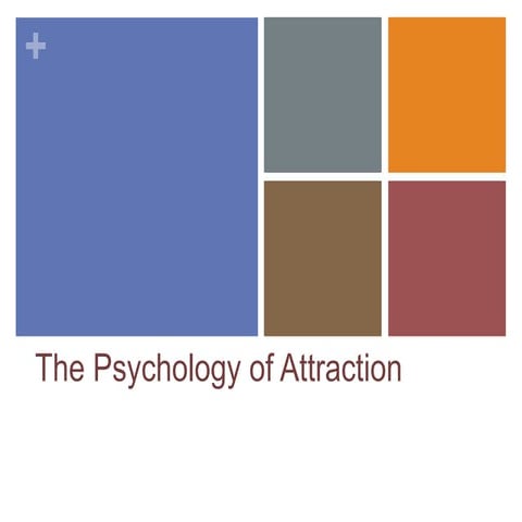 Attraction pp