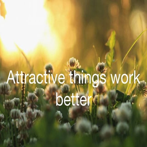 Attractive things work better