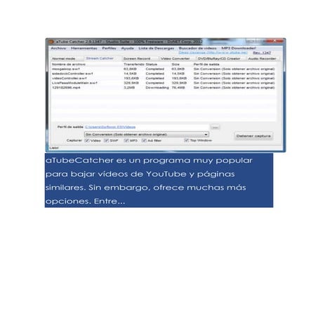 A tube catcher es un programa muy popular