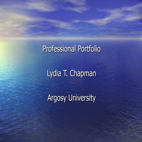 Professional Portfolio
