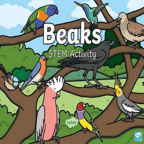 au-sc-2161-bird-beak-adaptation-powerpoint-english_ver_1.ppt