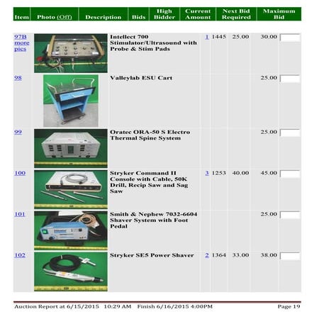 Auction report 19 | PDF