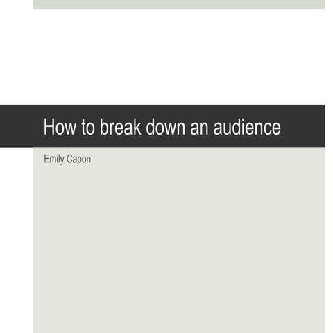 Audience break down 