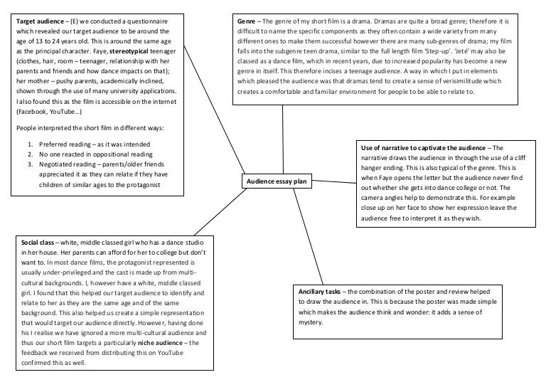 Purpose/audience definition picture
