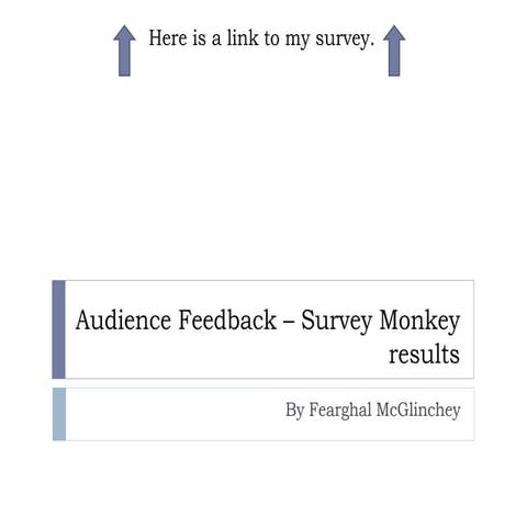 Audience feedback – Survey Monkey results