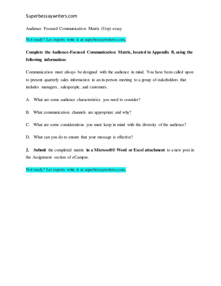 Audience focused communication matrix essay 03 image