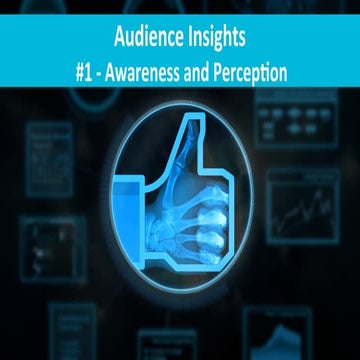 Audience Insights - Awareness and Perception 