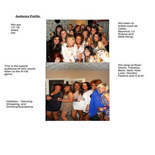 Audience profile.jen