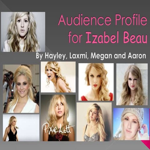 audience profile 