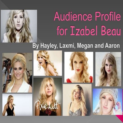 audience profile 