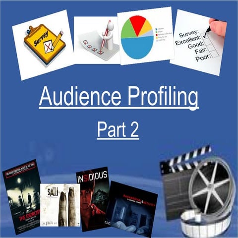 Audience profiling