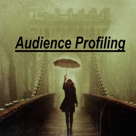 Audience profiling 