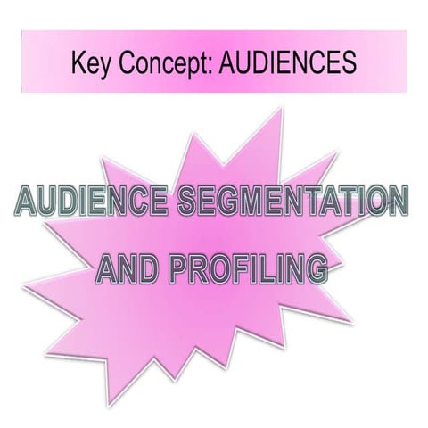 Audience Profiling