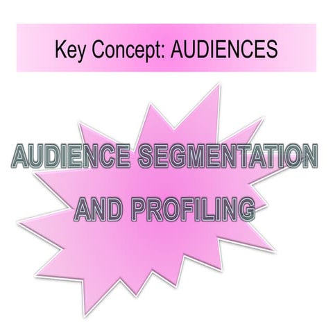 Audience profiling