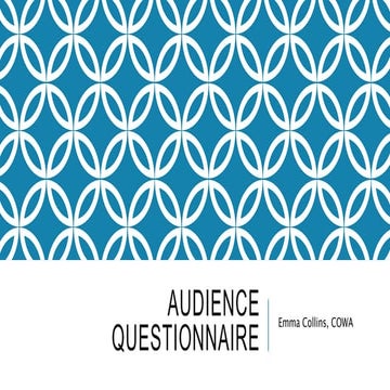 Audience questionnaire