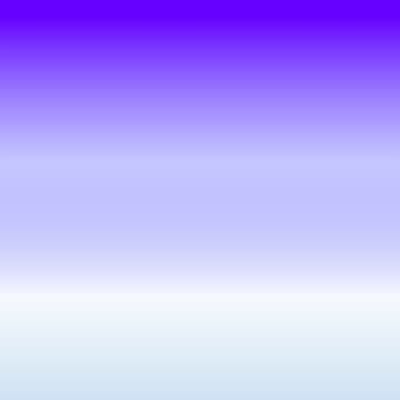 Audience questionnaire results