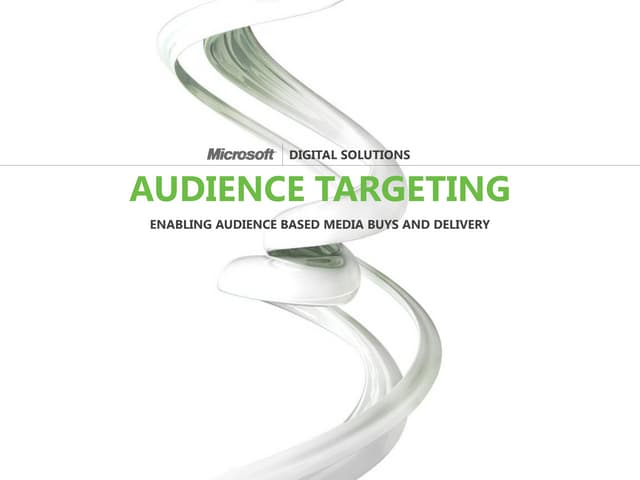 Microsoft Digital Solutions: Audience Targeting