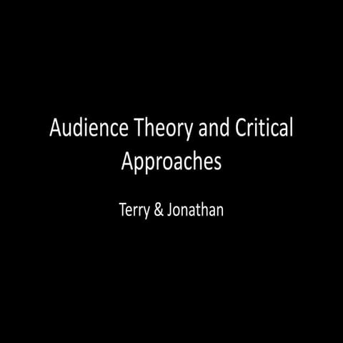 Audience theory 