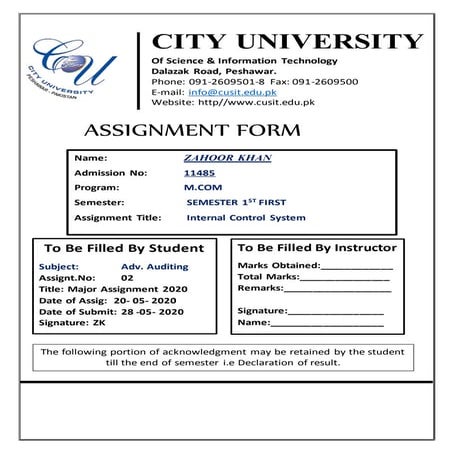 Internal control system in auditing | PDF