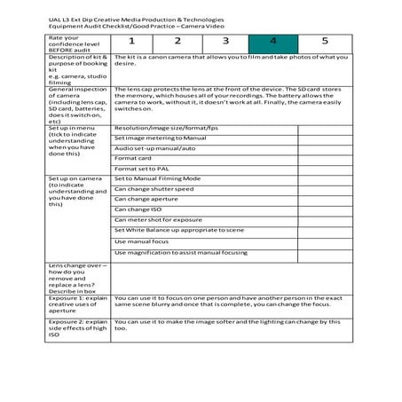 Camera audit form blank | DOCX