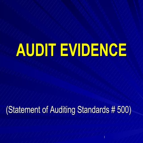 Audit Evidence