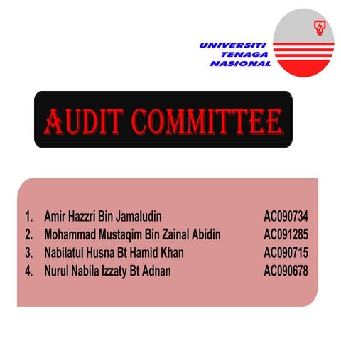 Audit committee