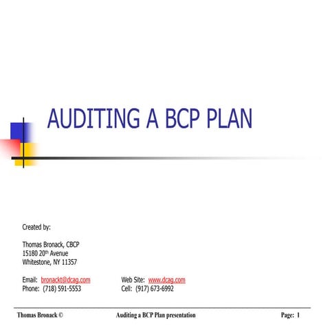 Auditing contingency Plans | PDF
