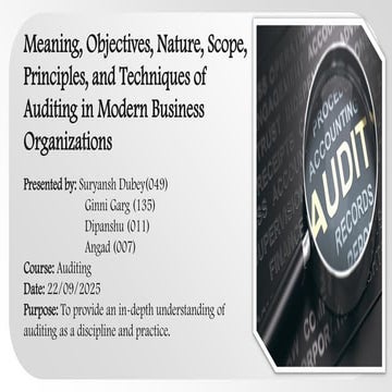 Auditing Presentation.presentation . Pdf