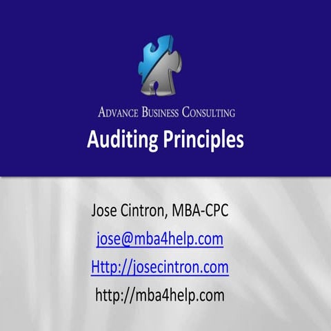 Auditing Principles3