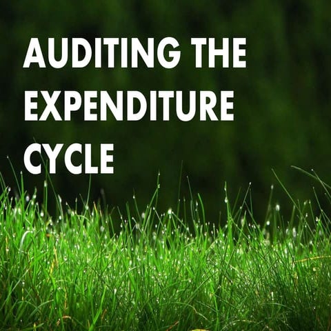 Auditing the expenditure cycle
