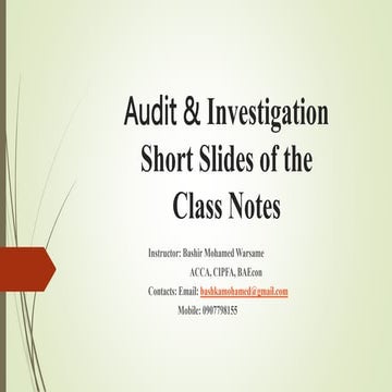 Audit & Investigation Presentation Module 1.pptx