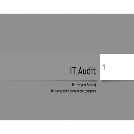 audit_it_250759.pdf